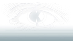 Ken Rygh Eye Logo